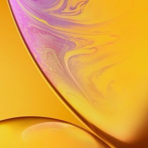 Meet your Posher, Beatriz